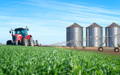 RISCOS DA RENOVAÇÃO AUTOMÁTICA NOS CONTRATOS DE PARCERIAS E ARRENDAMENTO RURAL